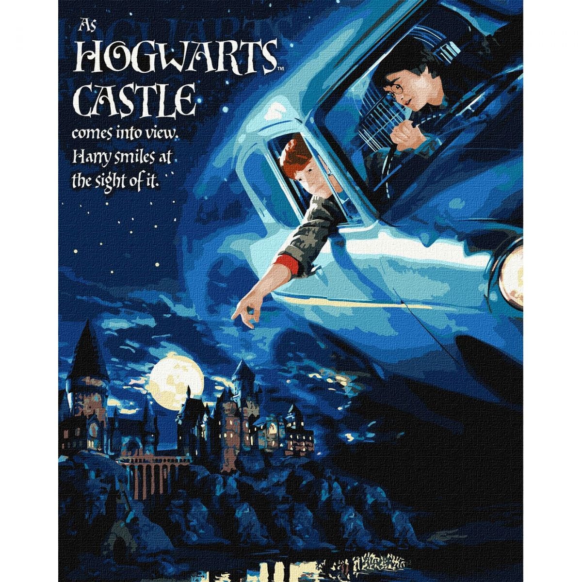 Картина за номерами Harry Potter Політ на авто металік 40х50 см